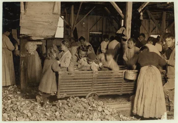 Bill May, de 5 anos que ganha 15 centavos por dia, no galpão da Barataria Canning Company, Biloxi, Mississippi, 1911