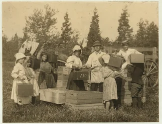 Crianças, carregar, seu, bica, de, cranberries, para, a, bushel, homem, em, Theodore, Budd&39;s, pântano, Turkeytown, perto, Pemberton, novo-jersey, 1910