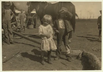 Apanhador de algodão com 4 anos de idade que escolhe 15 libras por dia regularmente e 7 anos de idade que escolhe 50. Eles se mudam de fazenda para fazenda e vivem em vagões de emigrantes, McKinney, Texas, 1913