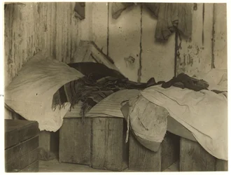 De Marco barraca para catadores de cranberry no pântano de Forsythe, Turkeytown, perto de Pemberton, Nova Jersey, 1910