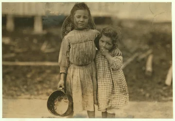 Maud e Grade Daly, 5 e 3 anos pegam um pote de camarão todos os dias para a Peerless Oyster Company, em Bay St. Louis, Mississippi, 1911