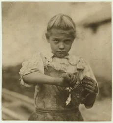 Rosie, de 7 anos, analfabeta, trabalhando pelo segundo ano como shucker de ostras em Varn e Platt Canning Company, Bluffton, Carolina do Sul, 1913
