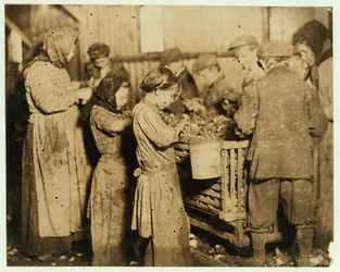 Shuckers envelhecidos cerca de 10 ostras de abertura na Varn und Platt Canning Company, Ilha Younges, Carolina do Sul, 1913