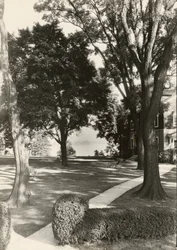 Sem título, ca. 1935.