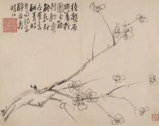 Álbum de ameixa em flor, 1742.