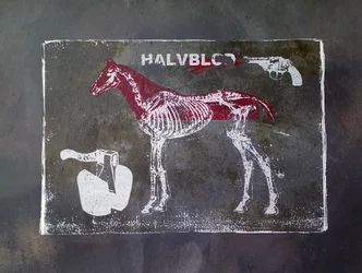 Cavalo de raça mista