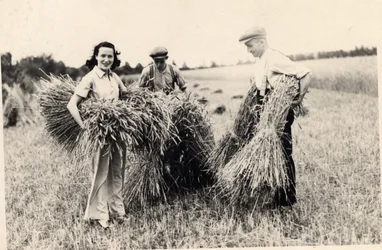 Fotografia de Adele Astaire na época da colheita (foto a p/b)