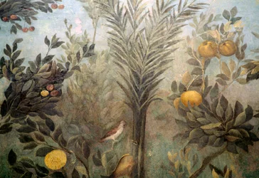 Romãzeira, pormenor de um fresco que representa um jardim com árvores de fruto e aves, da Casa de Lívia no monte Palatino, Roma, Itália. Civilização romana