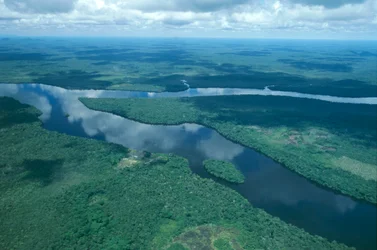 Venezuela, Guayana, Estado do Amazonas, Rio Orinoco, vista aérea
(foto)