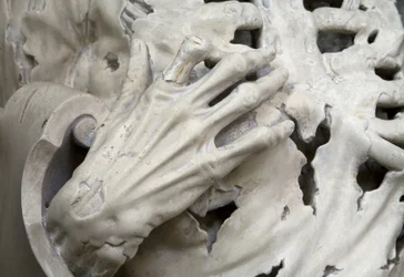 Esfolado, ou o esqueleto, detalhe