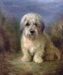 Dandie Dinmont Terrier (óleo sobre tela)
