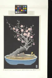Ameixa Anã Japonesa (impressão a cores em bloco de madeira)