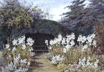 Lírios da Páscoa no Jardim