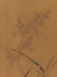 Orquídeas, segundo quartel do século XIII (folha de álbum; tinta e cor sobre seda)