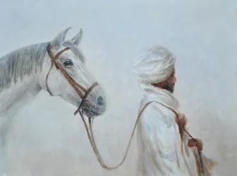 Rabari conduzindo o cavalo cinza