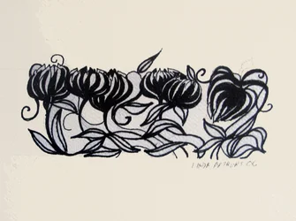 Crocus, 2014 (caneta e tinta)