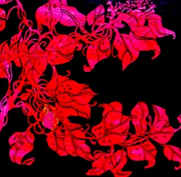 Vermelho para a irmã do William, 2017 (técnica mista)