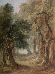 Grove [sem data].