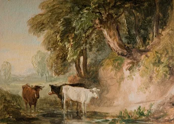 Cena Pastoral Com Gado, [século 19].