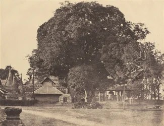 Rangum: Grande sino do Pagode de Shwe Dagon, novembro de 1855 (foto)