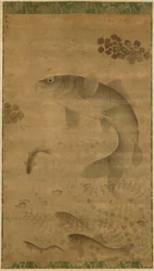 Carpa saltadora