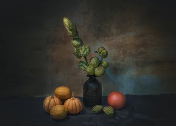 Natureza morta «Moody Harvest»