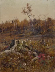 Paisagem
