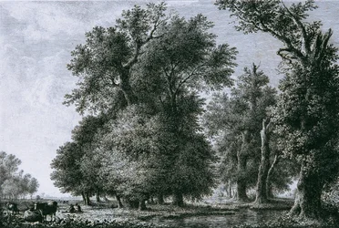 Paisagem com carvalhos