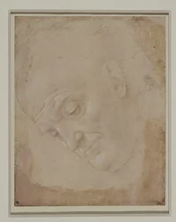 Retrato de um homem calvo, virado três quartos para a esquerda ...