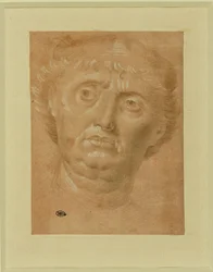 Retrato de um homem, rosto inteiro, olhos virados para a esquerda ...