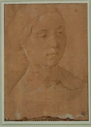 Retrato de uma mulher, rosto a três quartos, cabelos presos numa rede ...