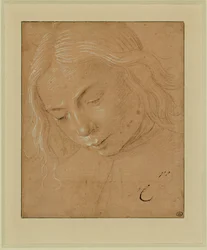 Retrato de um jovem, perfil a três quartos, inclinado para a frente ...