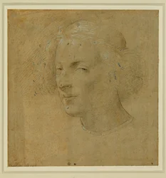 Retrato de um jovem com calota craniana ...