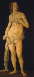 Vénus