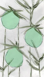 Resumo: Green Botanicals