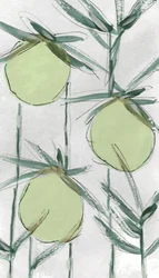 Produtos Botânicos Verdes Frescos