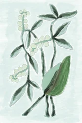 Aquarela Botânica Verde