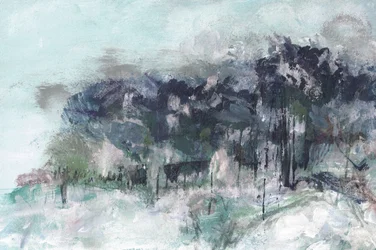 Floresta de inverno enevoada