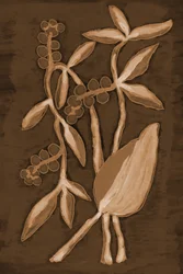 Produtos Botânicos Orgânicos da Sepia