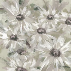 Flores de margarida delicadas