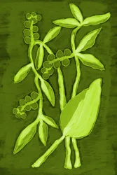 Folhagem verde vibrante