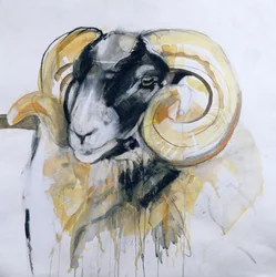Ovelha Long Horn (mídia mista)