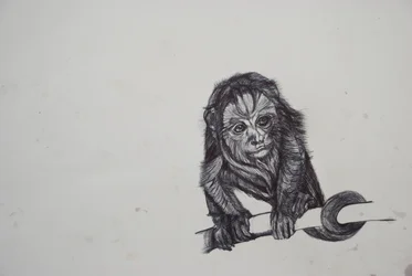Monkey Business, 2016, (bic biro no papel)