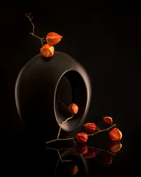 Elementos botânicos cor de laranja, vaso preto