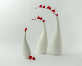 Vasos Vermelhos e Flores