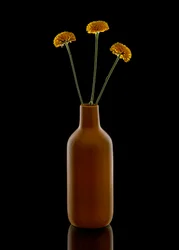 Vaso castanho «Warm Flowers»