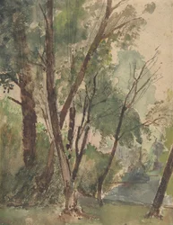 Trees Beside a Pond, 1853-1878.