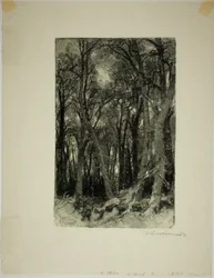 inverno: Bas-Bréau