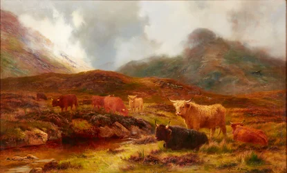 Charneca em Clachaig, Glencoe