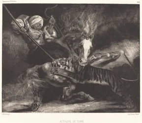 Ataque do tigre